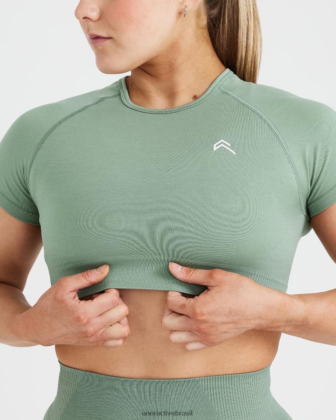 roupas br Oner Active top clássico sem costura 2.0 de manga curta sábio marga 8488X2454